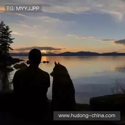 仲会真